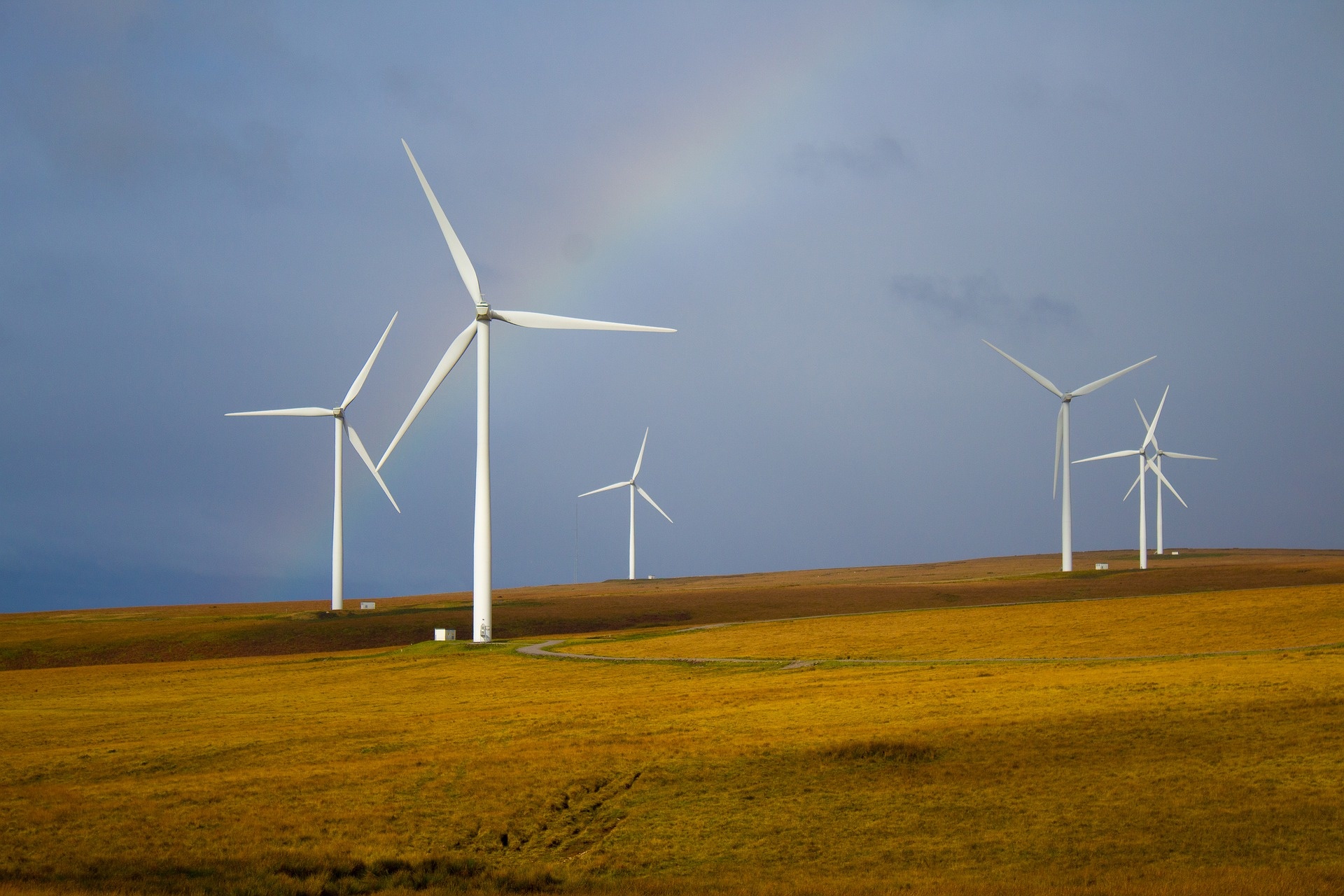 windmills-5643293_1920.jpg
