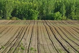 agricoltura.jpg