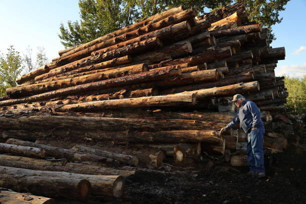 legno.jpg