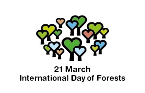 international forest day.jpeg