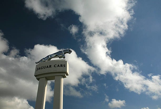 jaguar cars.jpg