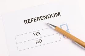 referendum 8 luglio.jpg