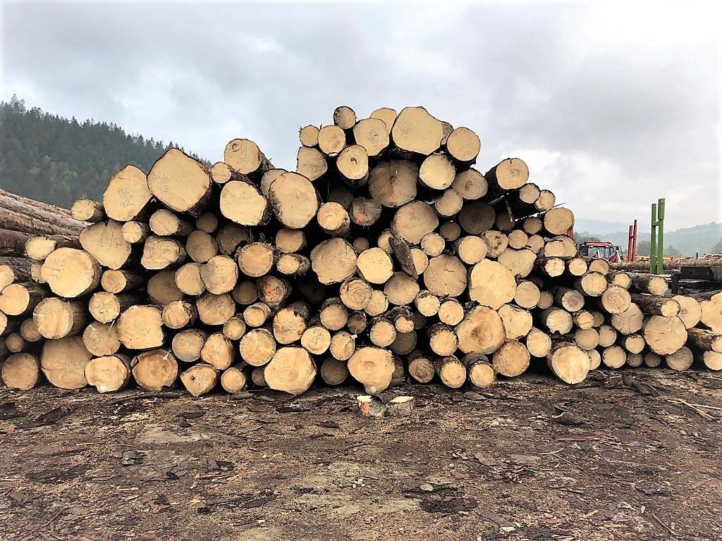 wood.jpg