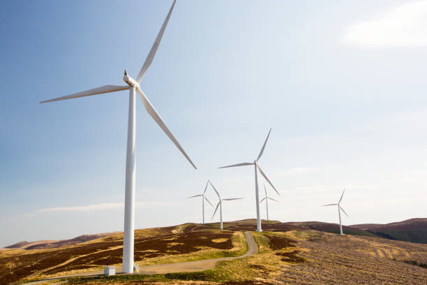 energia rinnovabile 2.jpg