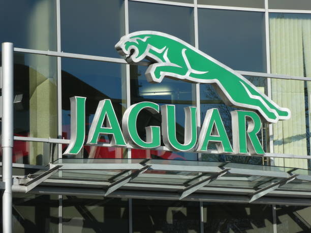 jaguar.jpg