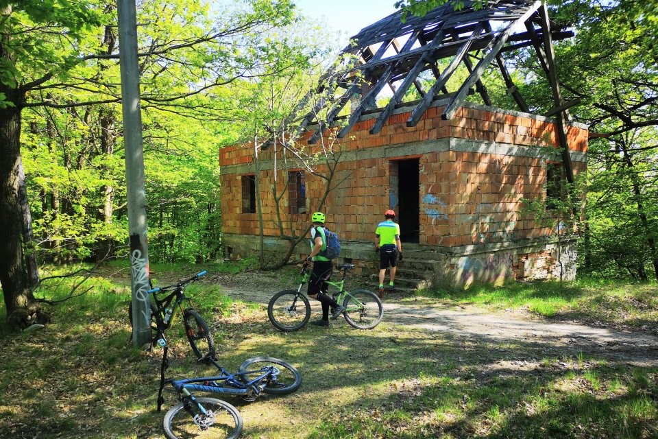 rača.jpg