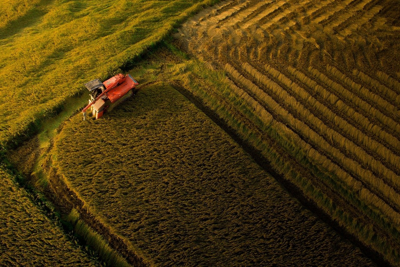 agricoltura.jpg