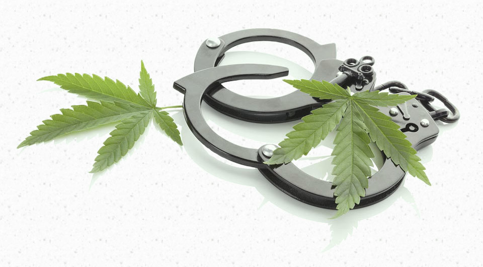 marijuana.jpeg