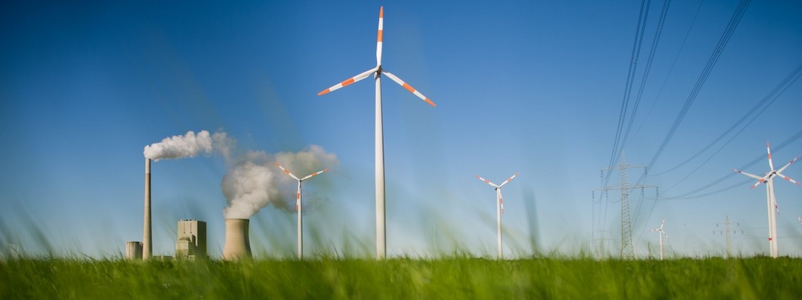 renewable.jpg