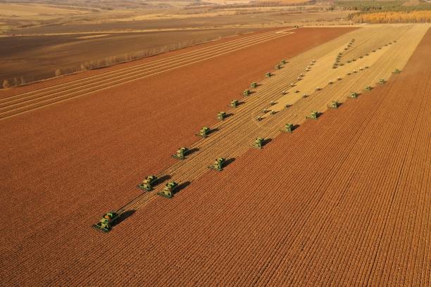 gettyimages-1181745325-612x612agric.jpg