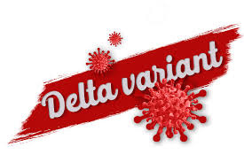 delta 29 luglio.jpg