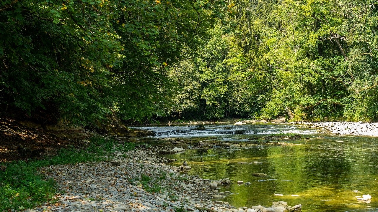 natura.jpg