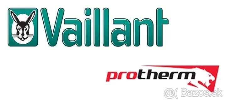 vaillant.jpg