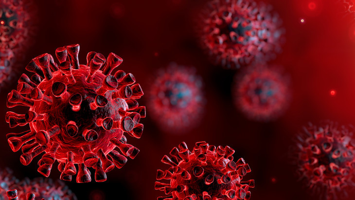 15_koronavirus.jpeg