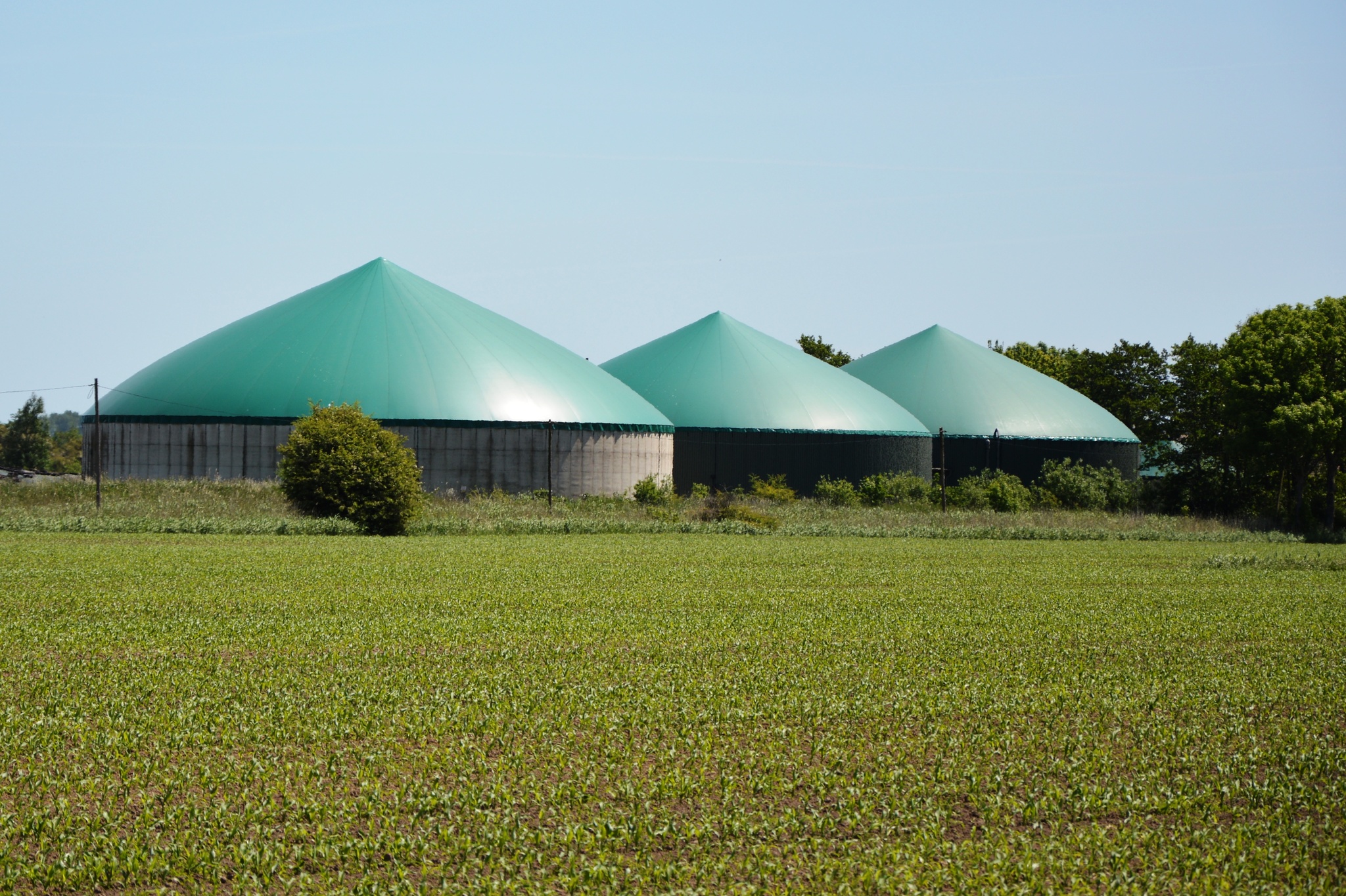 biogas.jpg