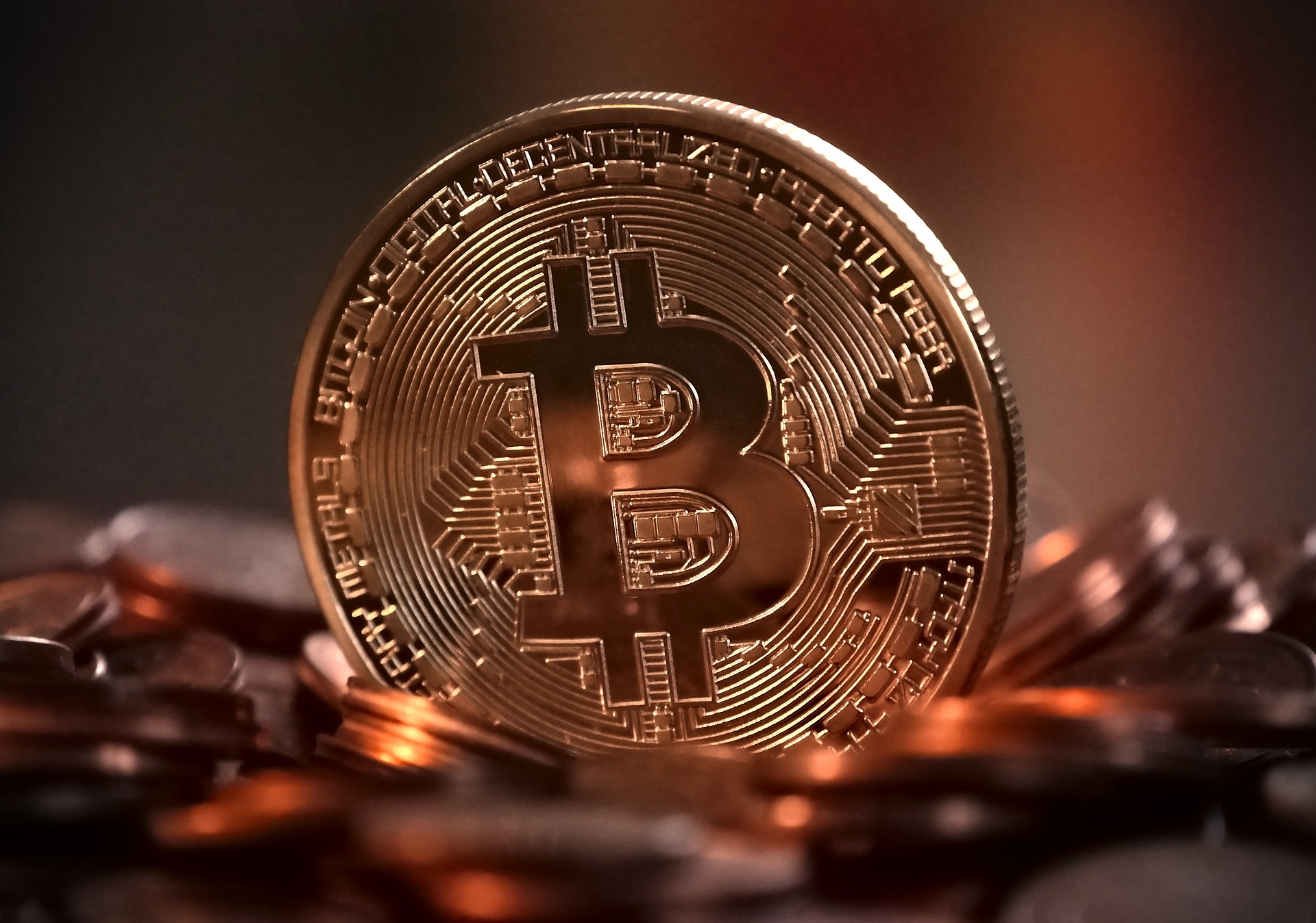 bitcoin-g07d8cf5a0_1920.jpg