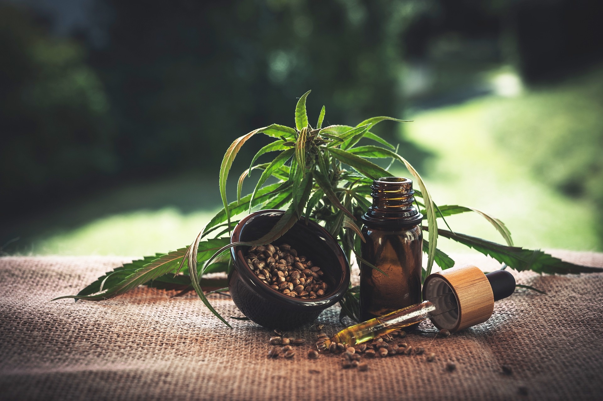 cbd-4469987_1920.jpg