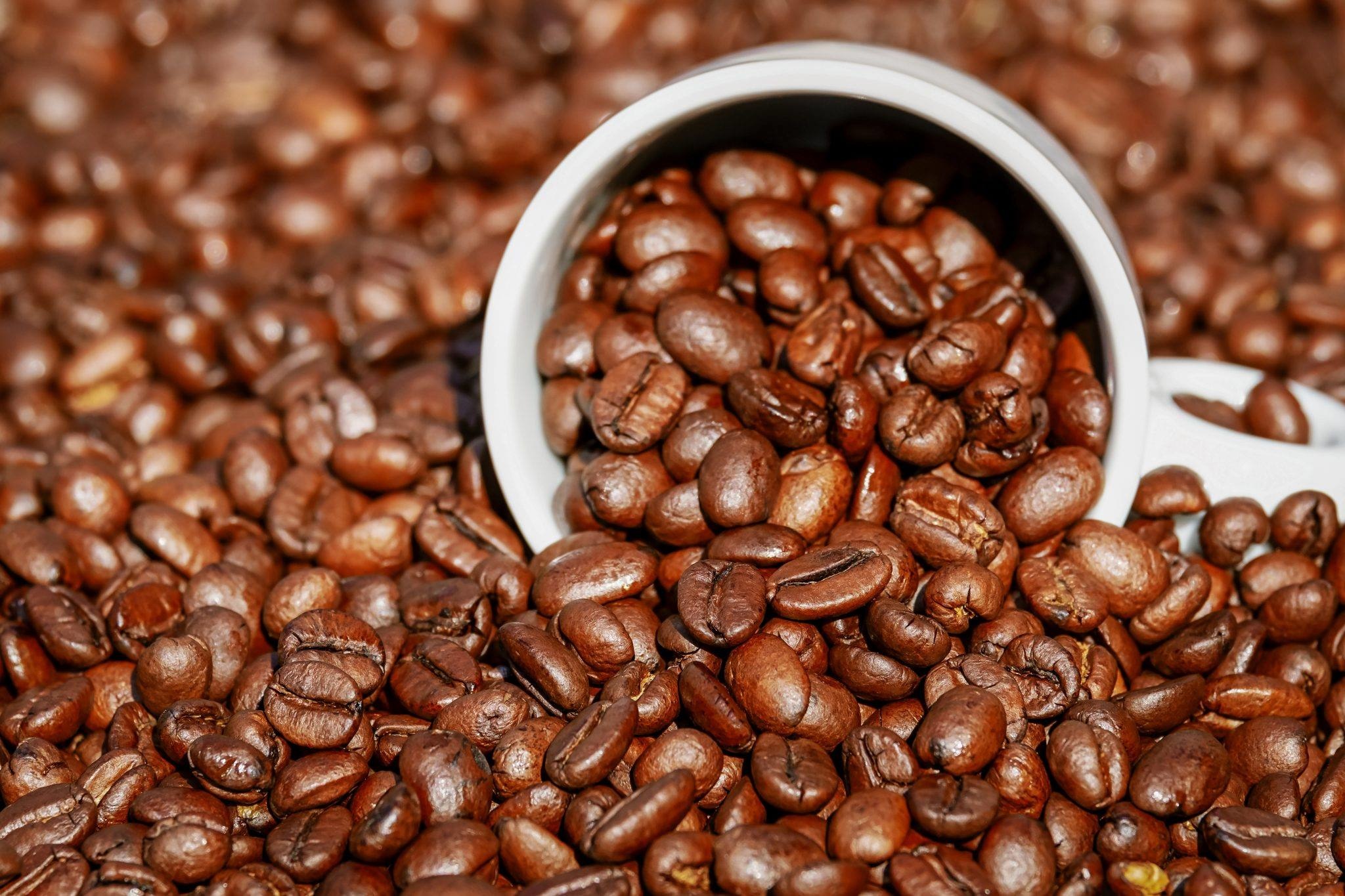 coffee031.jpeg