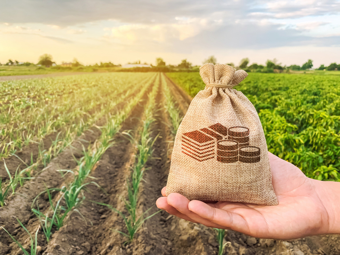 compravendita-terreno-agricolo.jpg
