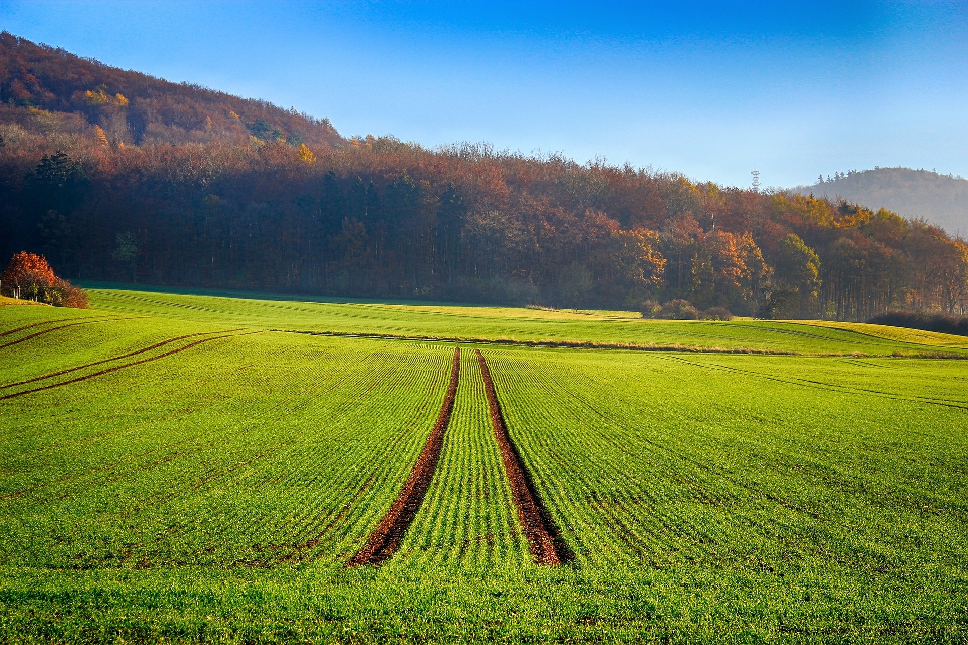 field-g0ce790974_1920.jpg