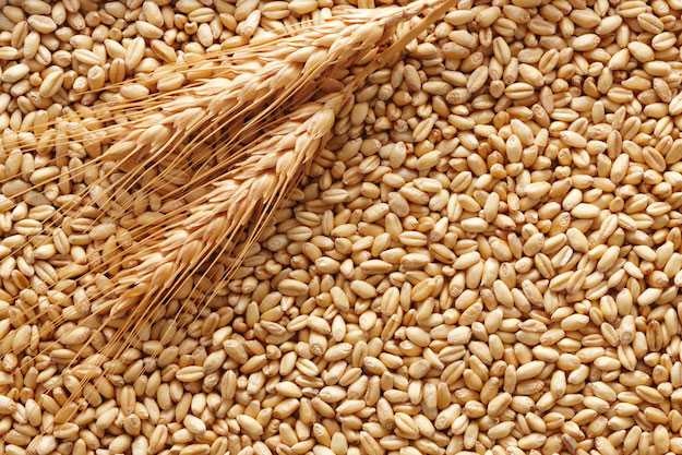 grano-duro-e-grano-tenero-differenze.jpeg