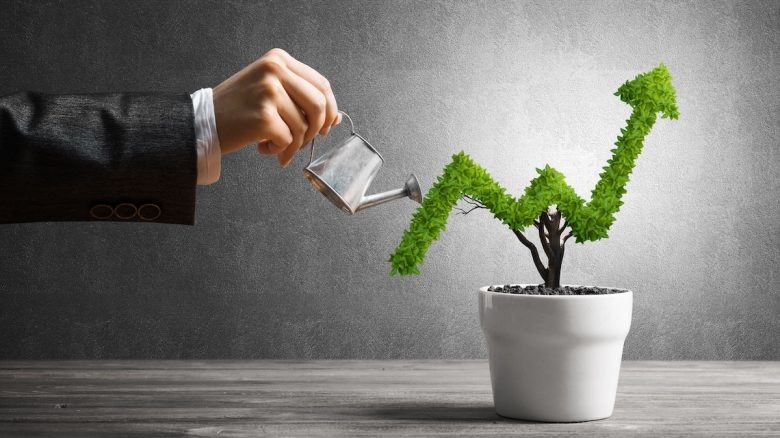 Growing_Graph_Plant-780x438.jpeg