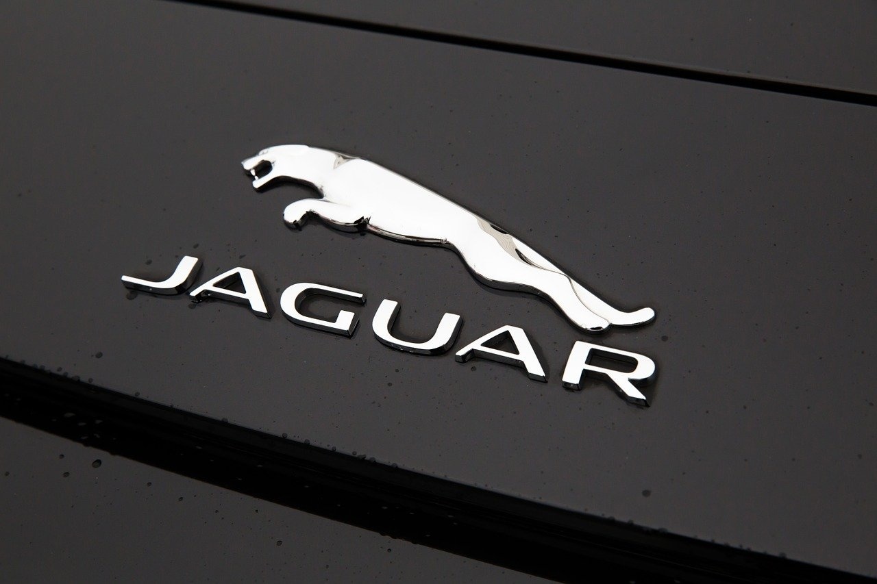 jaguar-1076207_1280.jpg
