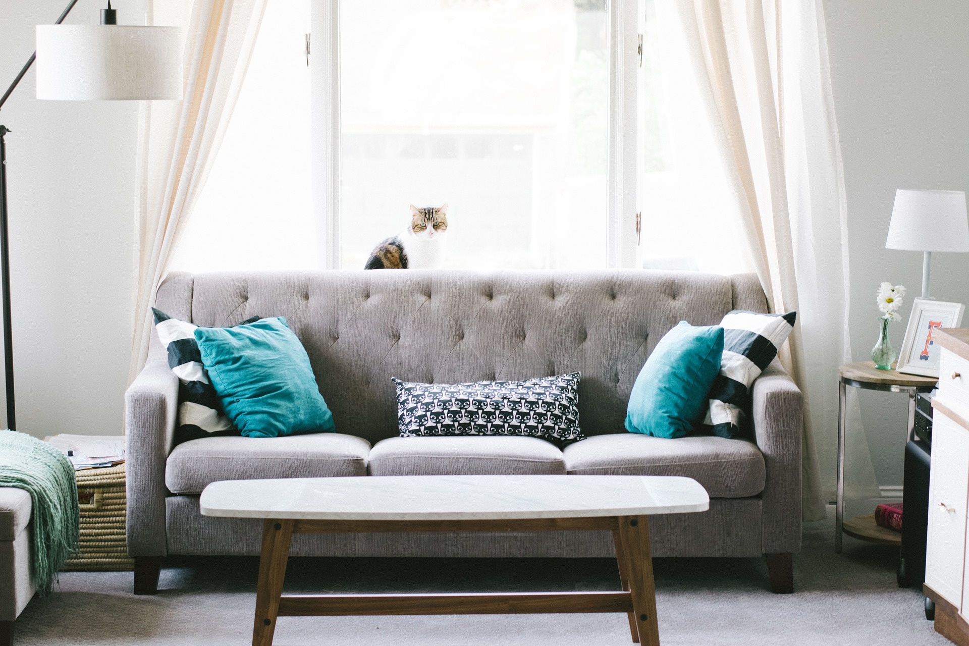 living-room-g9b5606317_1920.jpg