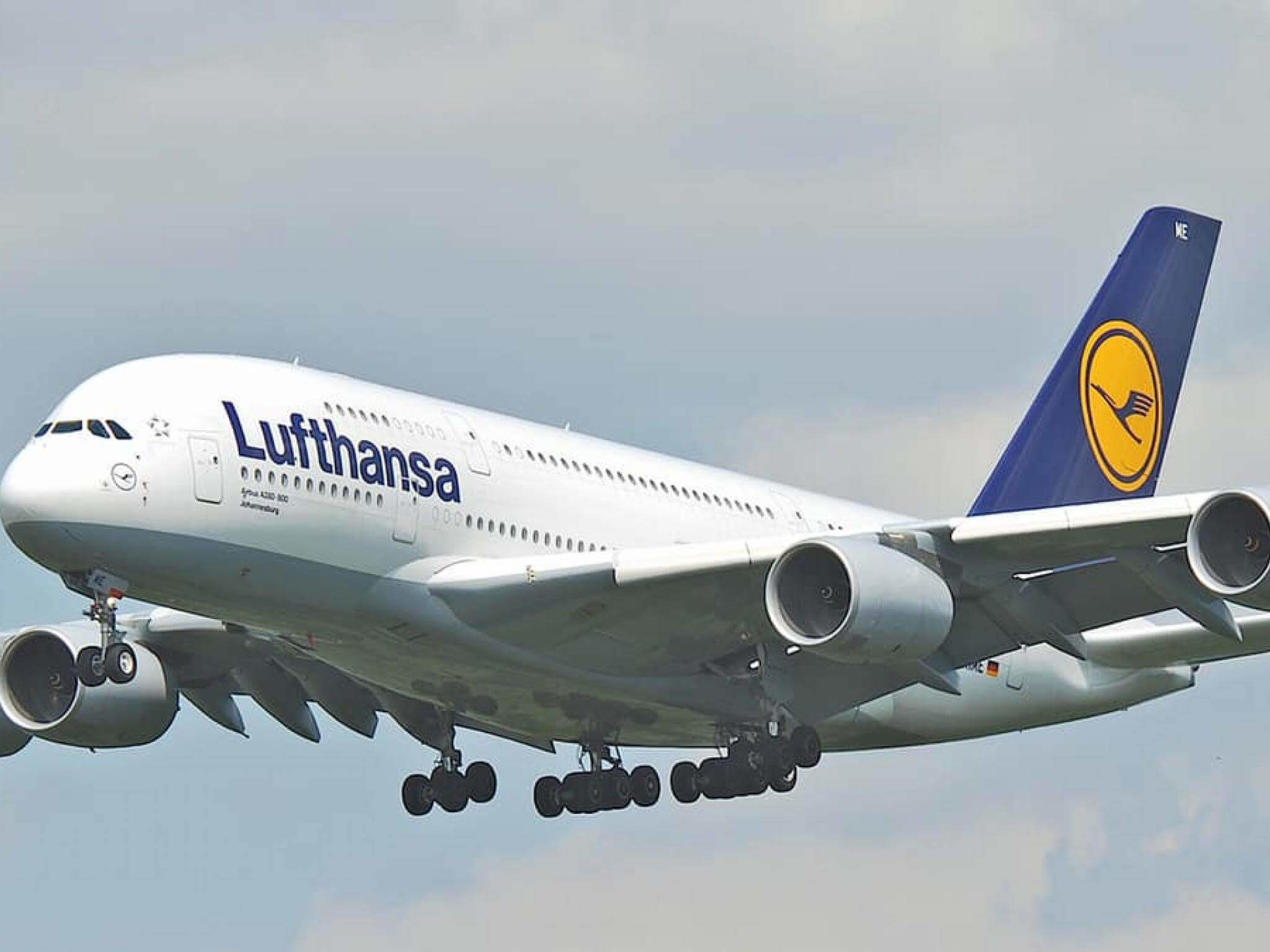 lufthansa.jpeg