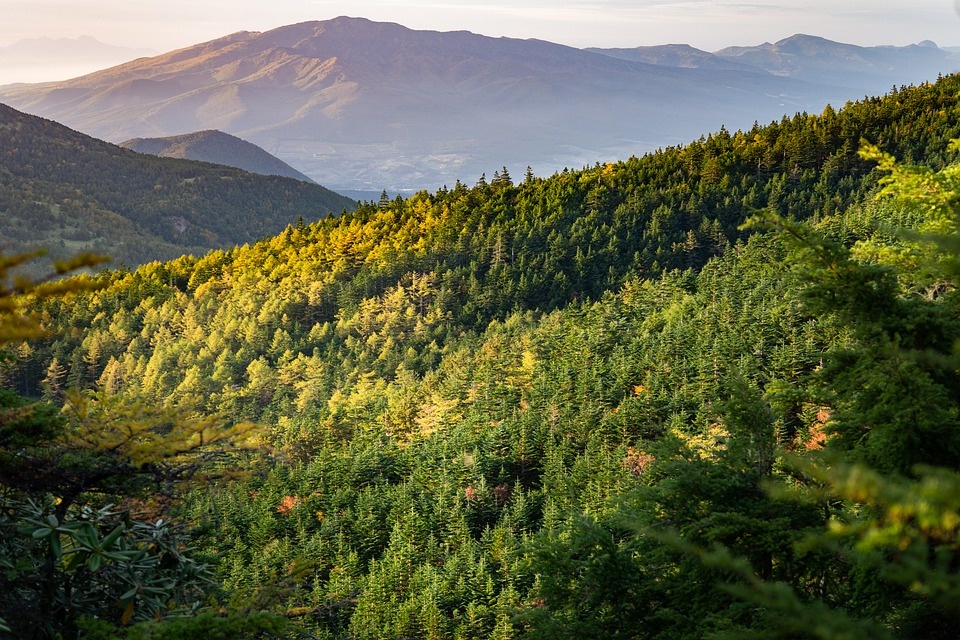 mountain-6827881_960_720.jpg