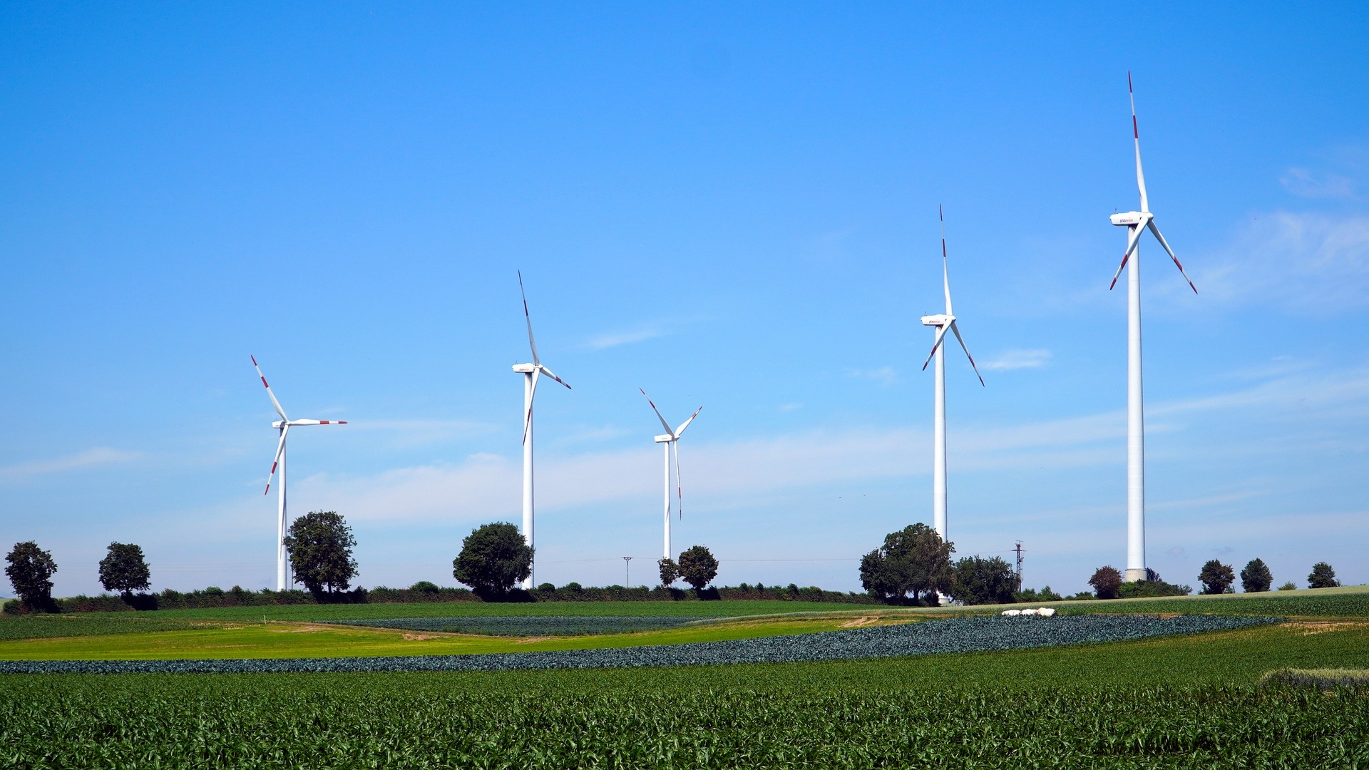 pinwheels-ga86e31747_1920.jpg