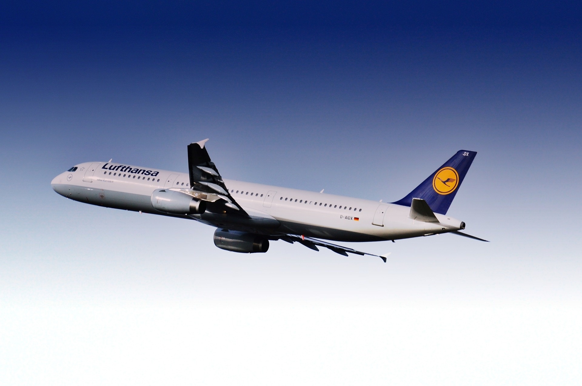 plane-g0b50d1f9c_1920.jpg