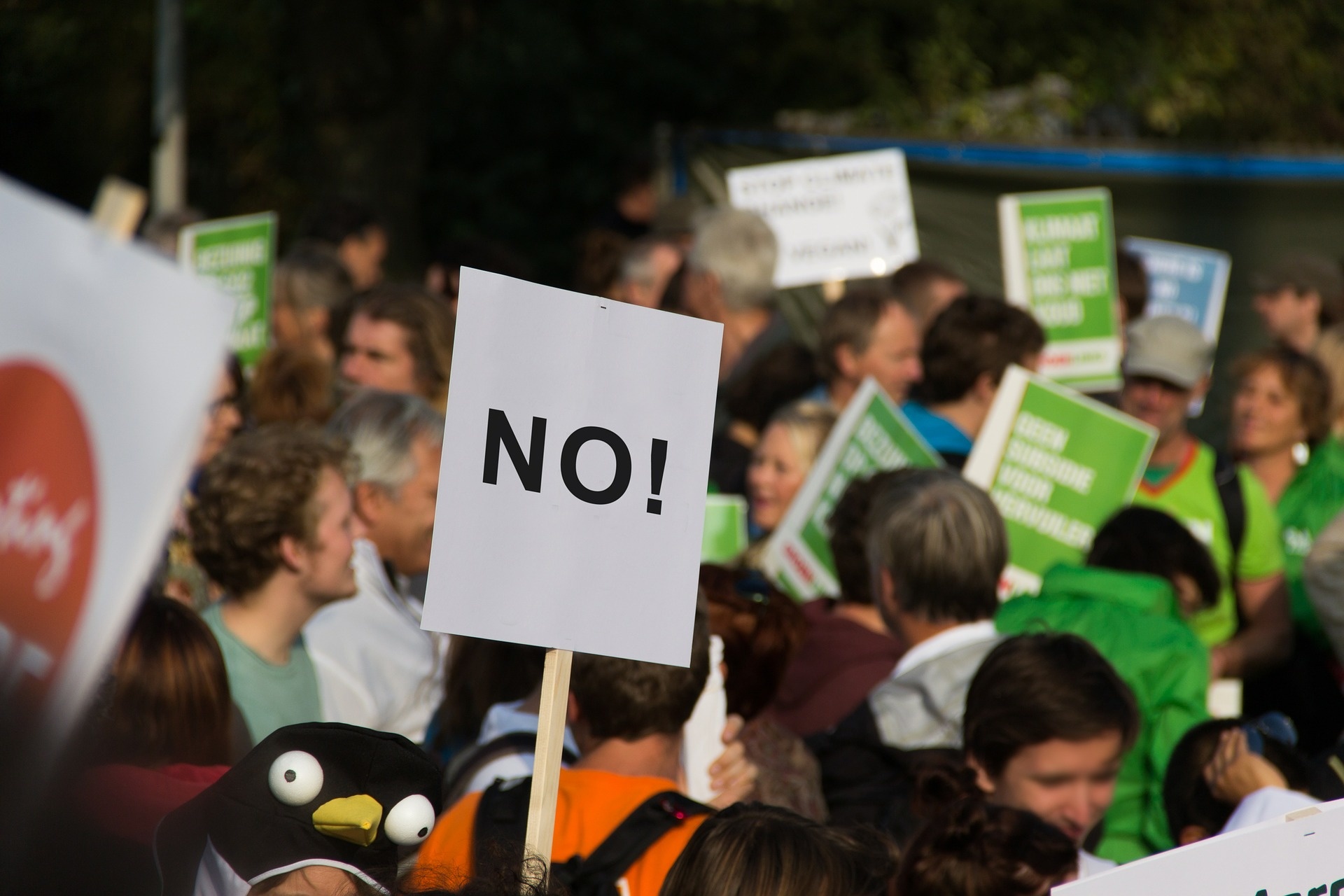 protest-ga7e487834_1920.jpg