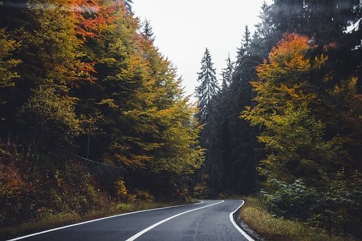 road-6724201__340.jpg