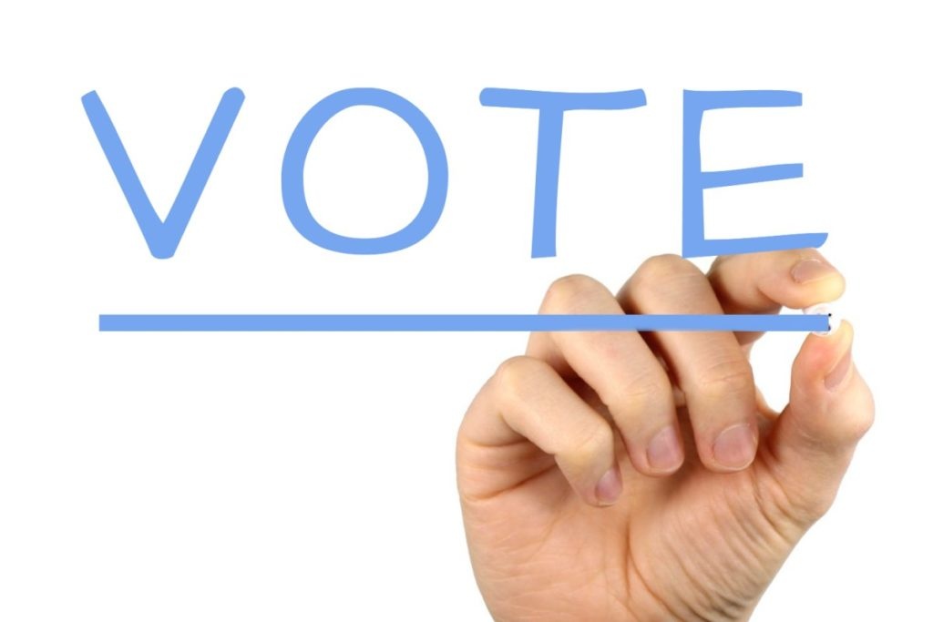 vote-1024x683-1.jpg