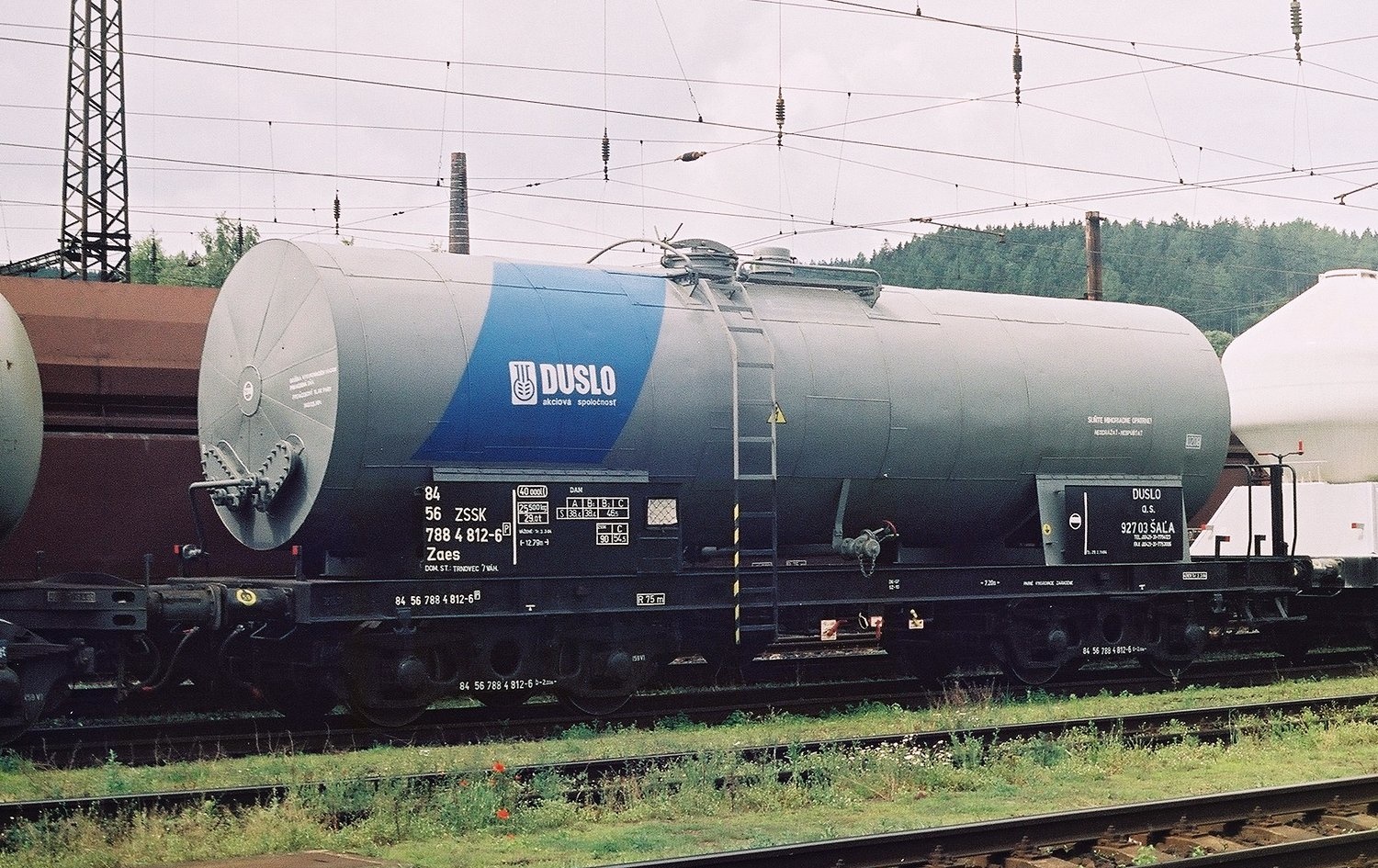 W7884812-8456_stat_CTrebova2004.jpg