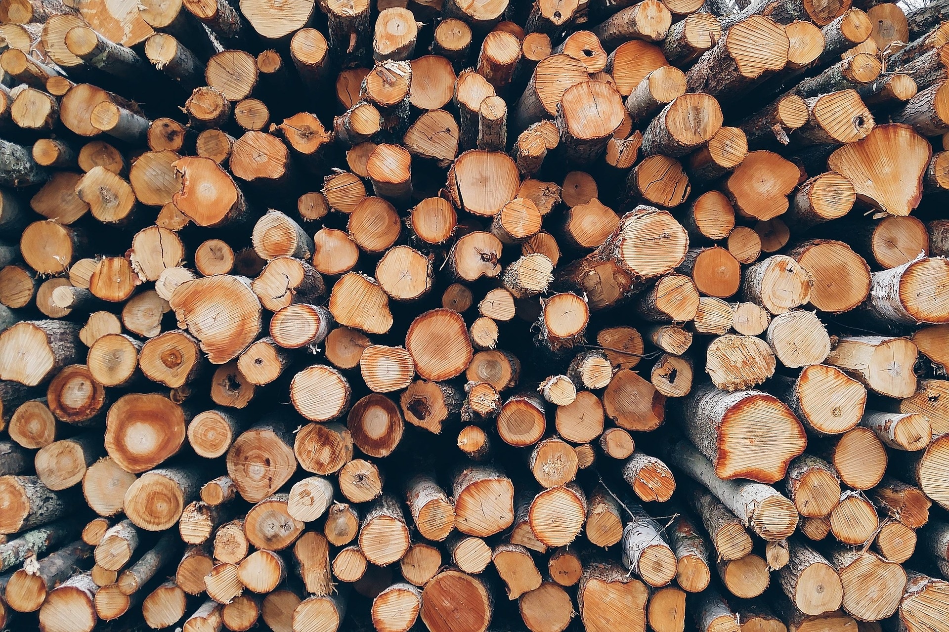 wood-1868104_1920.jpg