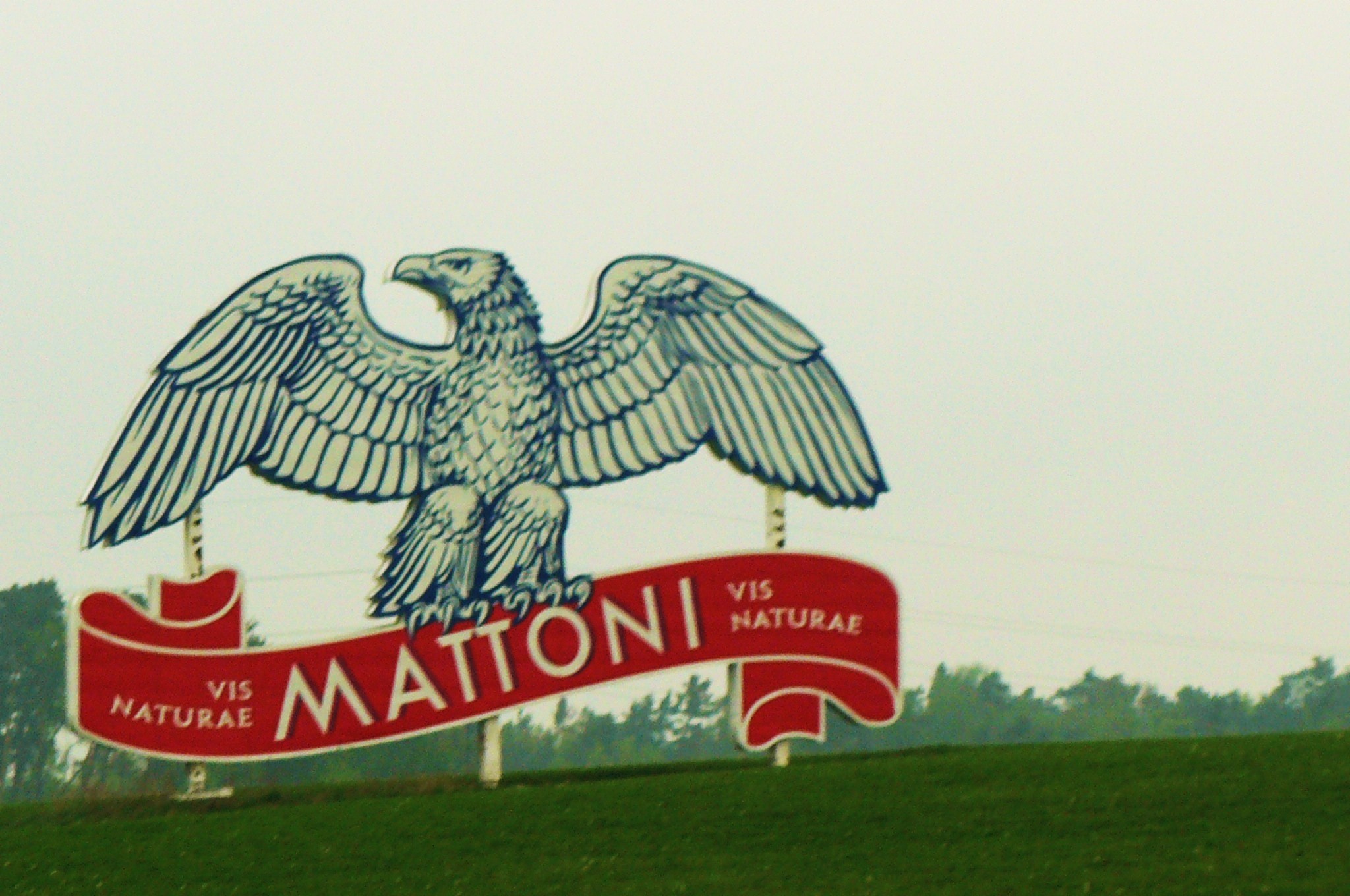 AnyConv.com__Matonka_P.jpg