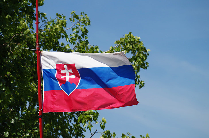 budget flag.jpg