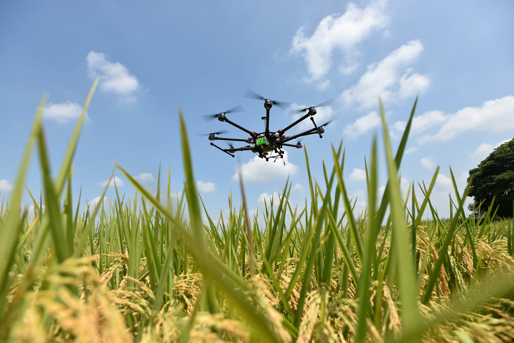 drone.jpg
