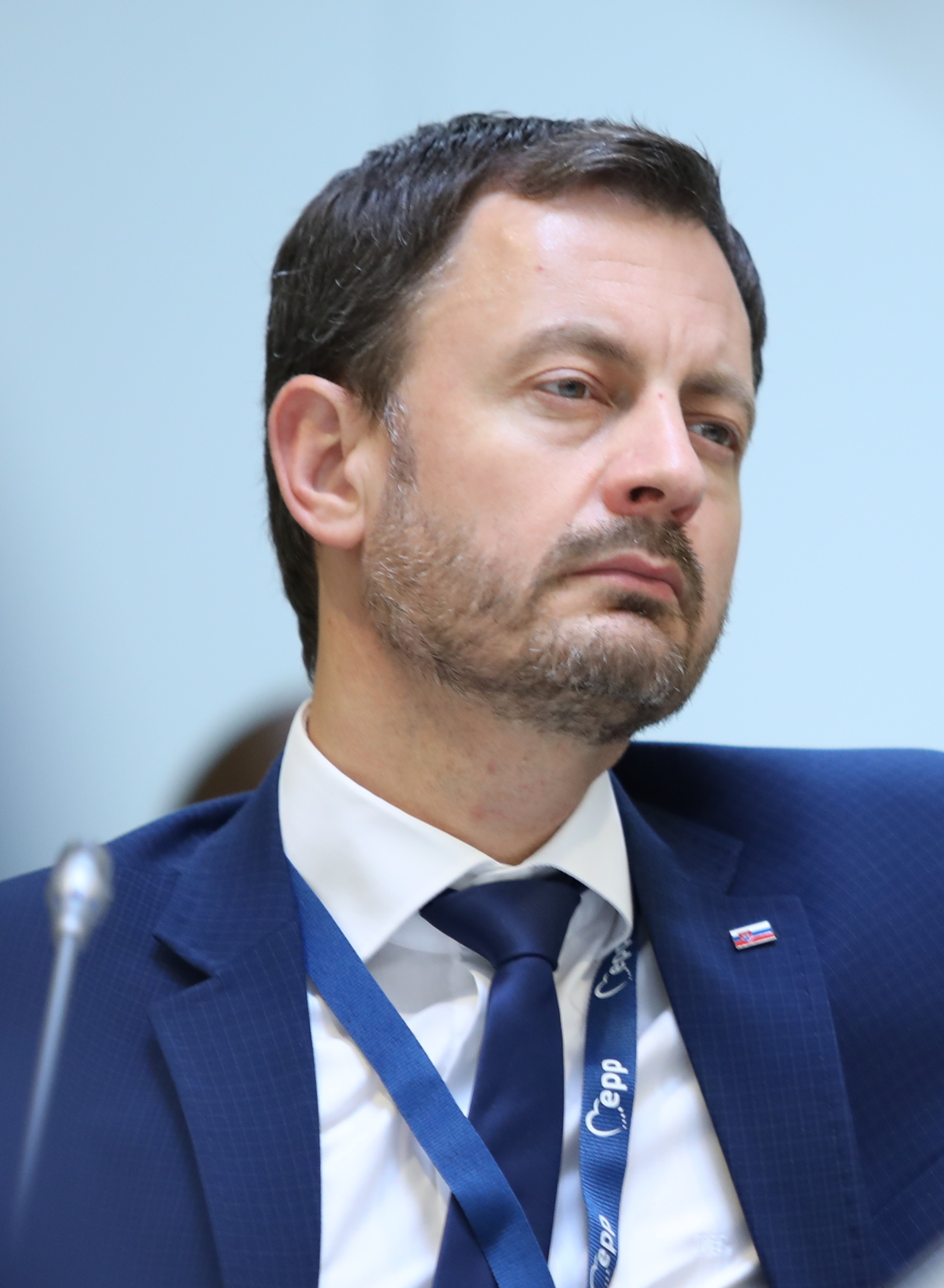 Eduard_Heger,_Brussels_(51614100353)_(cropped) (1).jpg