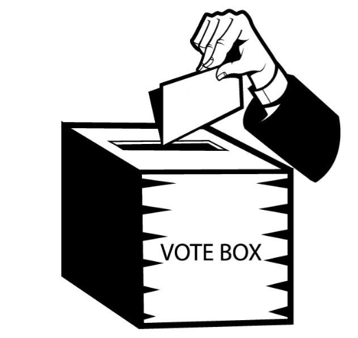 elezioni voto.PNG