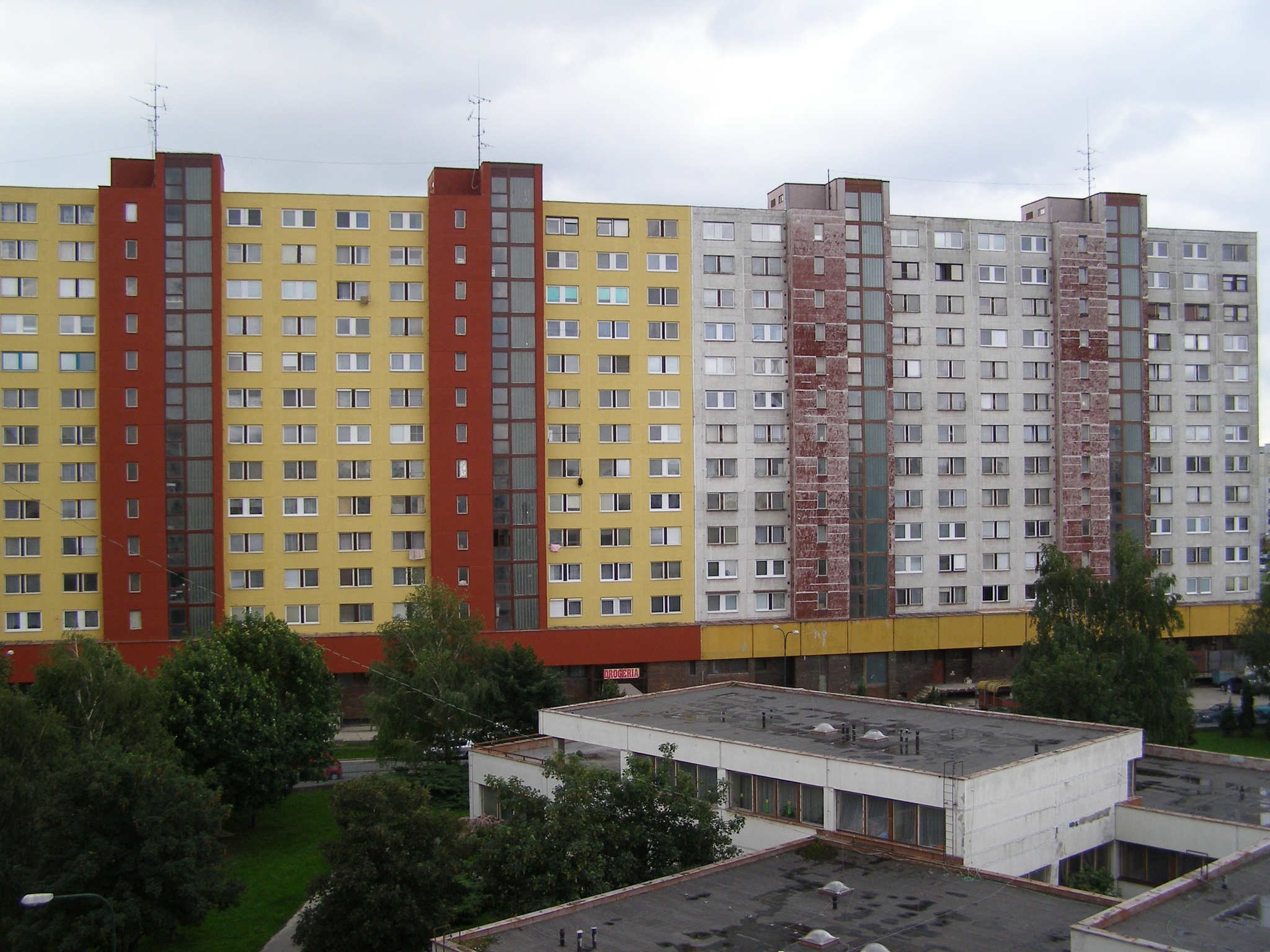 FEDINOVA.jpg