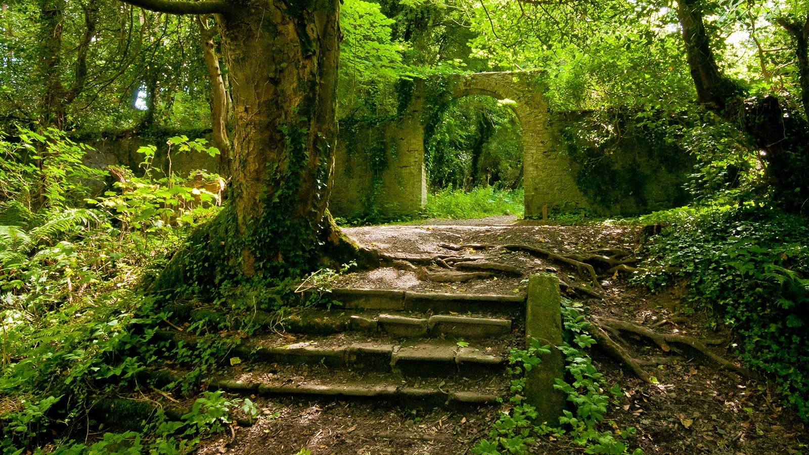 foreste-ita.jpg