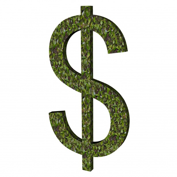 green-dollar-sign-1443805183AOc.jpg