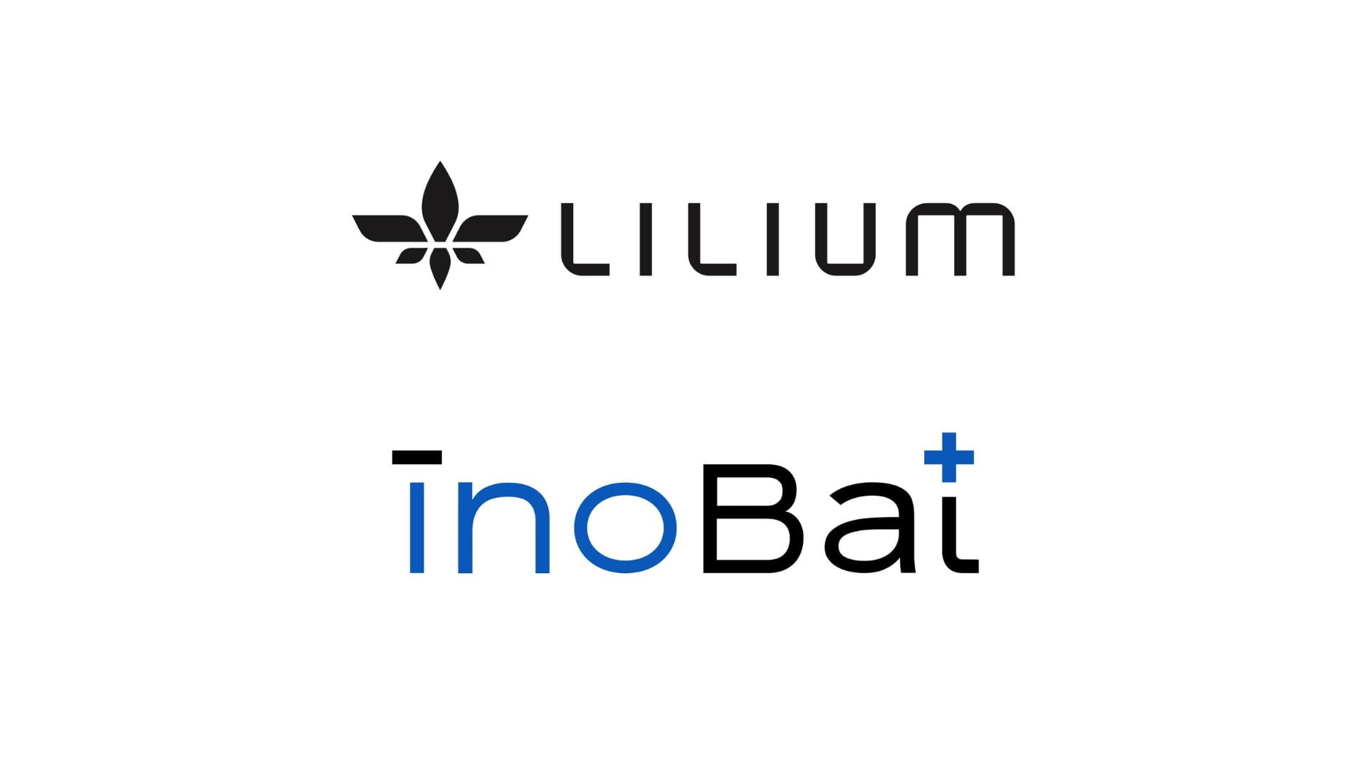 lilium-x-inobat.jpg