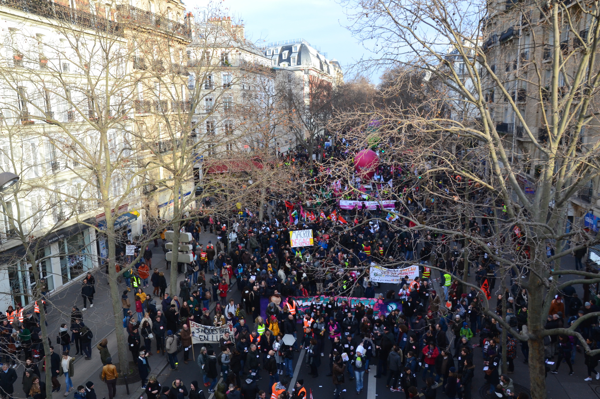 manifestazione.jpg