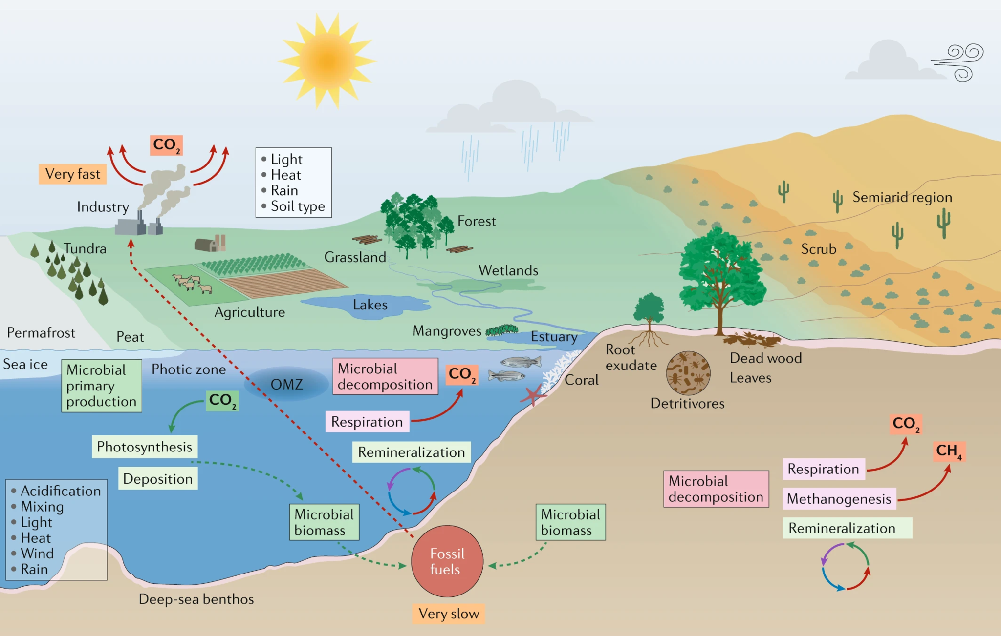 Microorganisms_and_climate_change.png