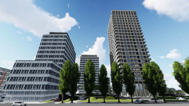 offices 5.jpg