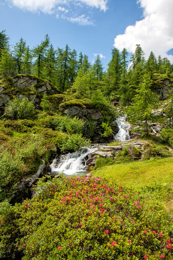 parco naturale.jpg